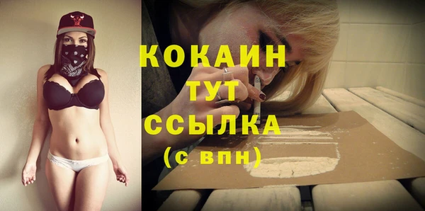 гидра Заволжск
