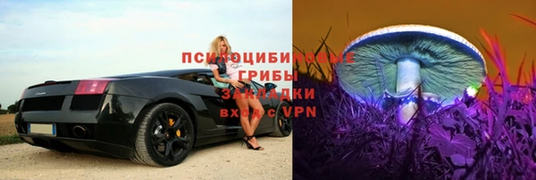 ECSTASY Елизово