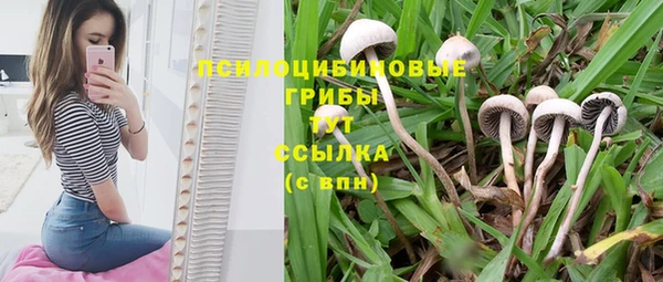 гидра Заволжск