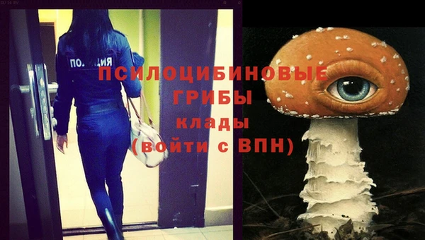 дурь Елабуга