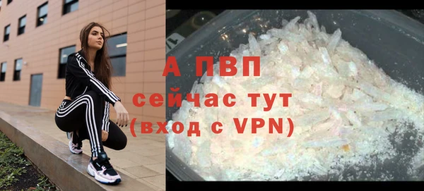 ECSTASY Елизово